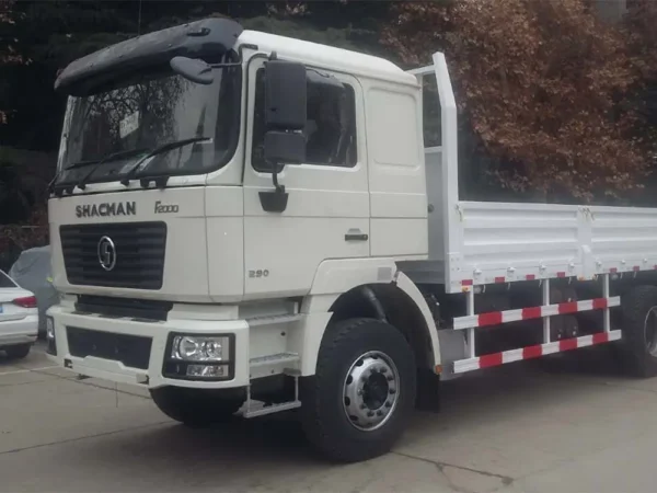 Shacman F2000 290hp Cargo Truck 6x4 Dropside Cargo Truck for Sale