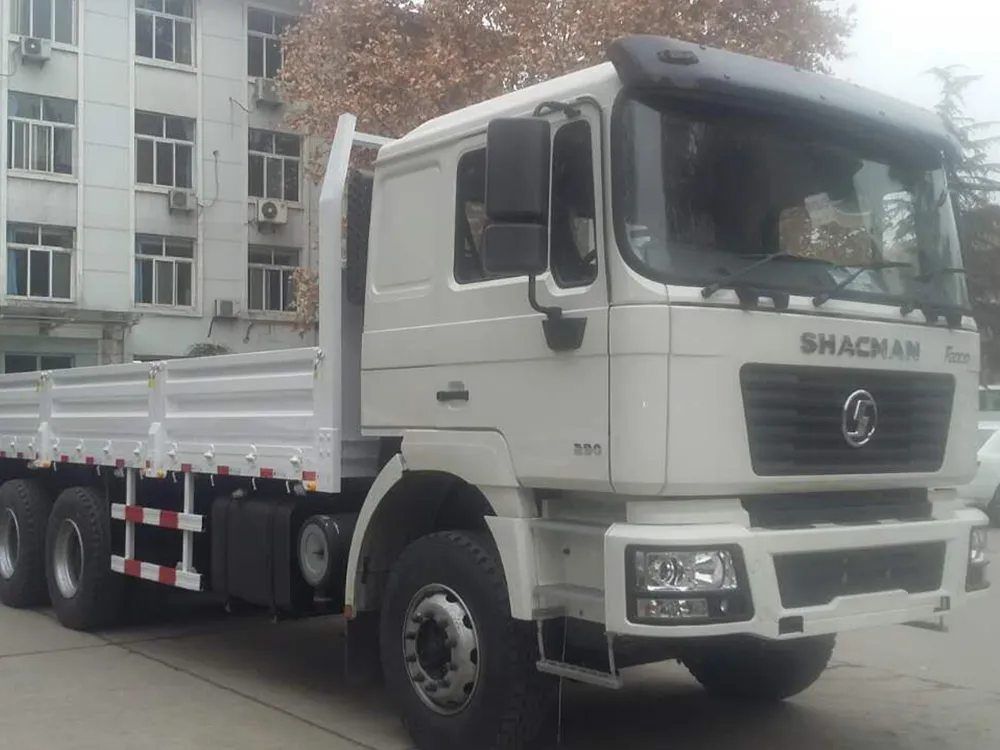 شاحنة نقل البضائع شاكمان F2000 290 حصان 4