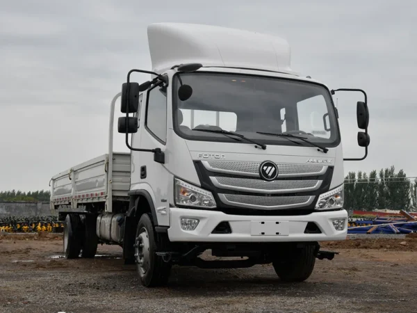 شاحنة شحن مسطحة 4x2 Aumark S Aumark S للبيع