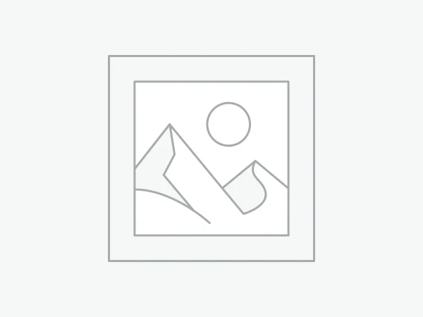 عنصر نائب Placeholder